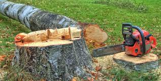 Best Tree Risk Assessment  in East Liverpool, OH